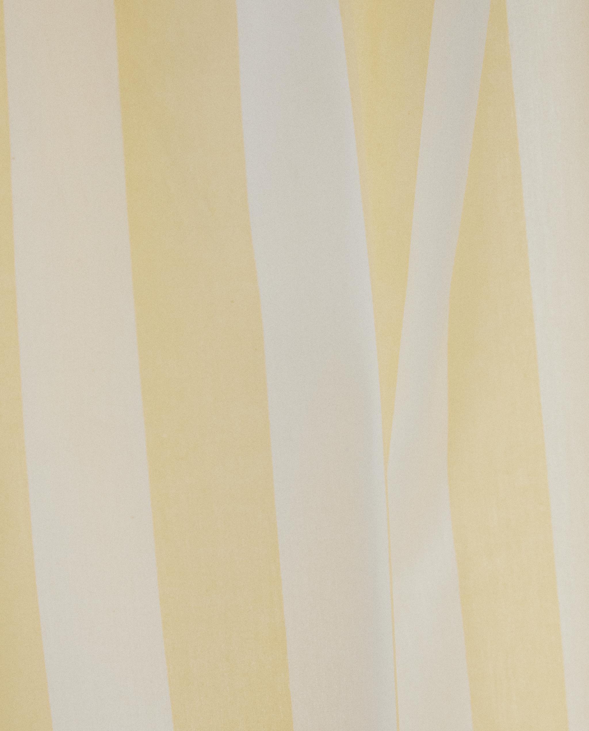STRIPED SHOWER CURTAIN product thumbnail 14