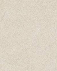 MICROFIBRE CUSHION COVER product thumbnail 9