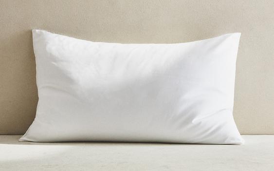 ΜΑΞΙΛΑΡΙ ΜΕ ΜΙΚΡΟΪΝΕΣ