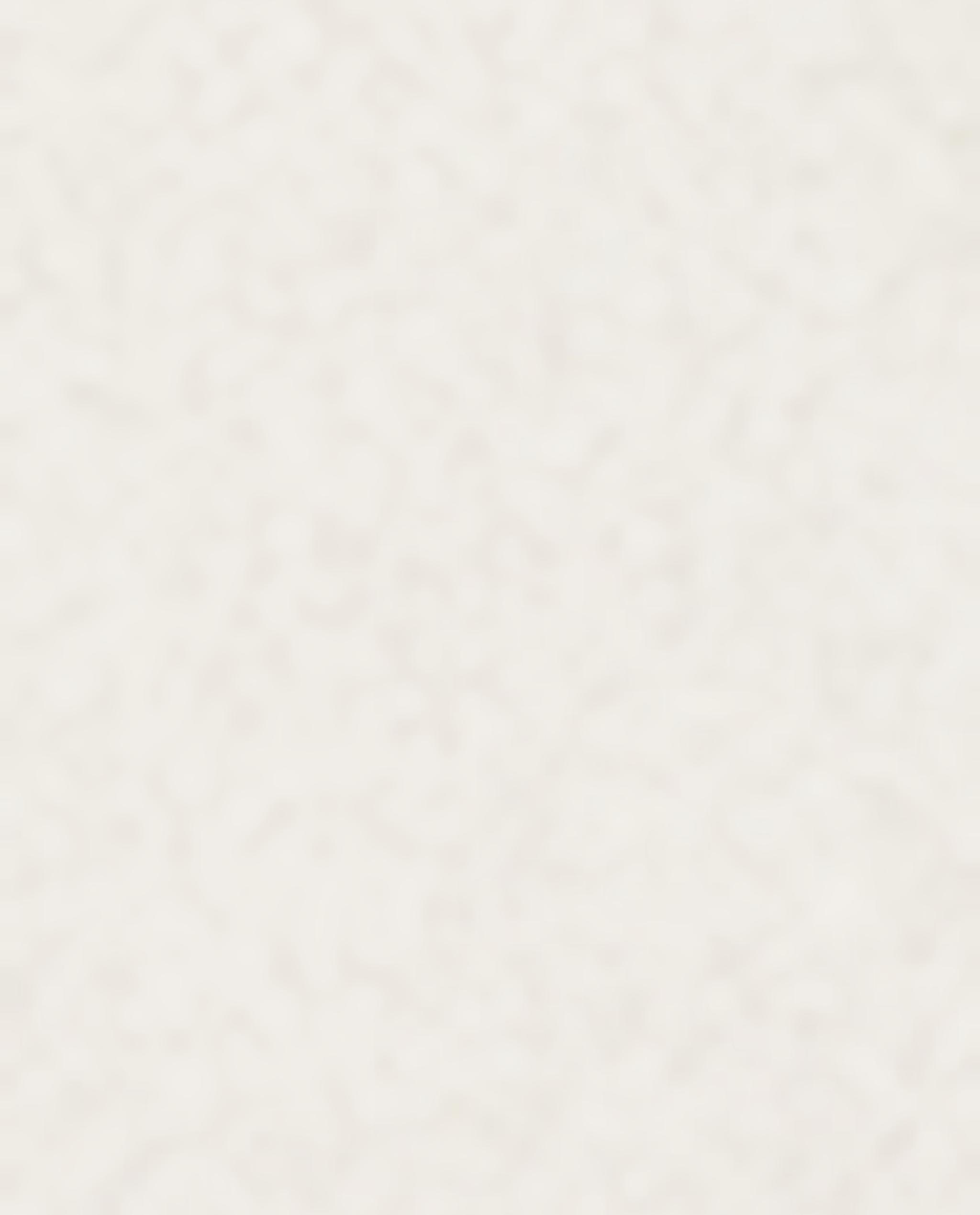 PLANT EMBROIDERED SATIN TABLECLOTH product thumbnail 4