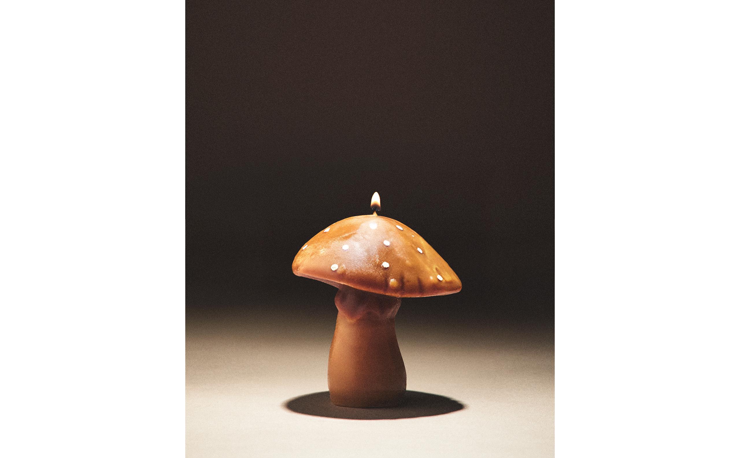☆きのこ☆ HEICO【ハイコ】 ビッグ マッシュルーム ランプ Mushroom Lamp