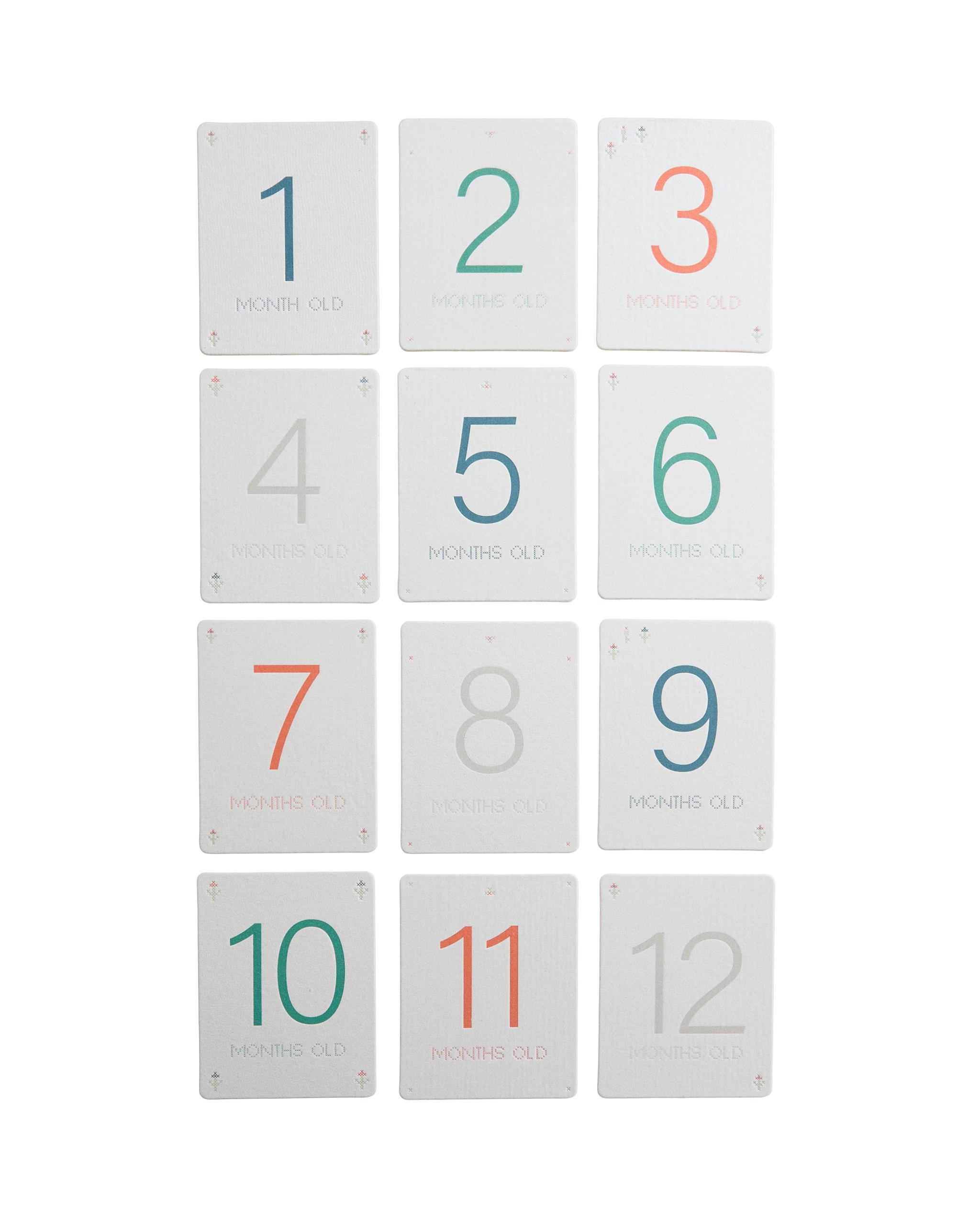 BABY MONTHLY MILESTONE KIT - 12 FLORAL CARDS product thumbnail 7