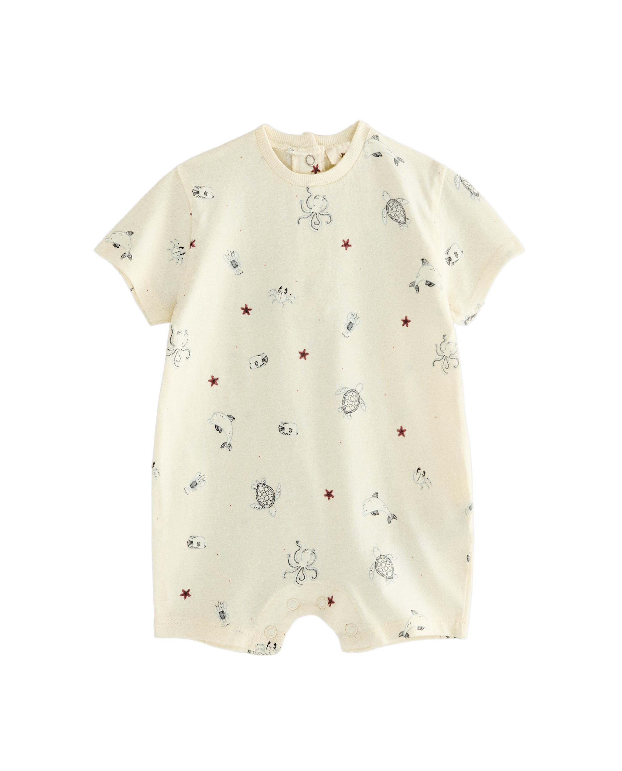 Bodysuits Zara Body Neonato Zara Italia Zara Neonata Abbigliamento