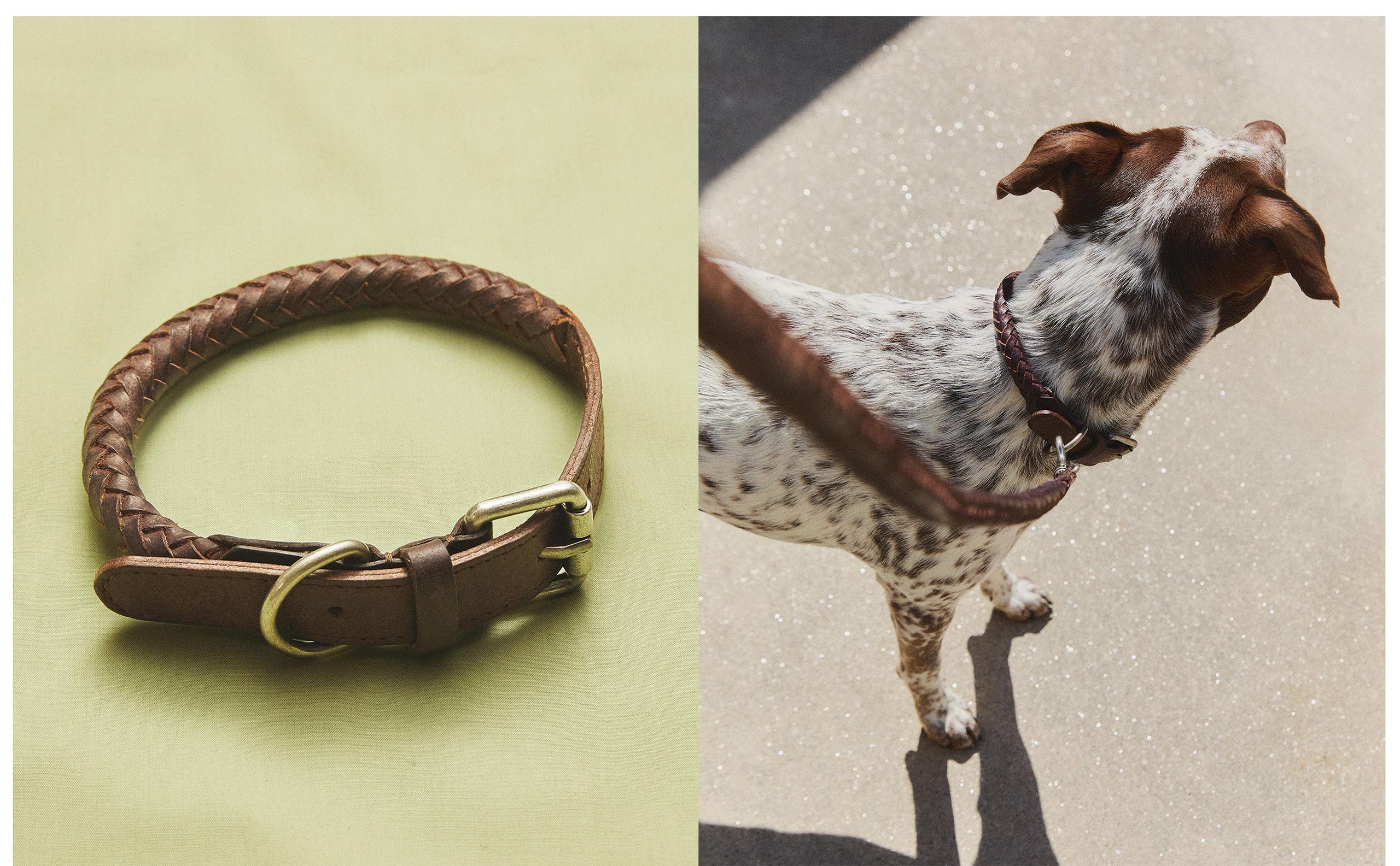 RIEM EN HALSBAND VOOR HUISDIEREN