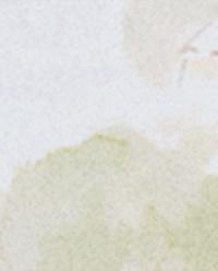 LANDSCAPE PRINT COTTON FLAT SHEET