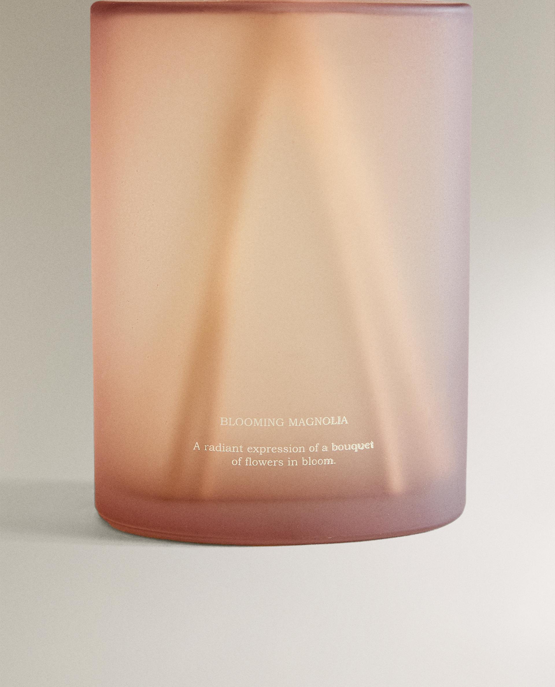 (400 مل) أعواد معطرة للجو BLOOMING MAGNOLIA