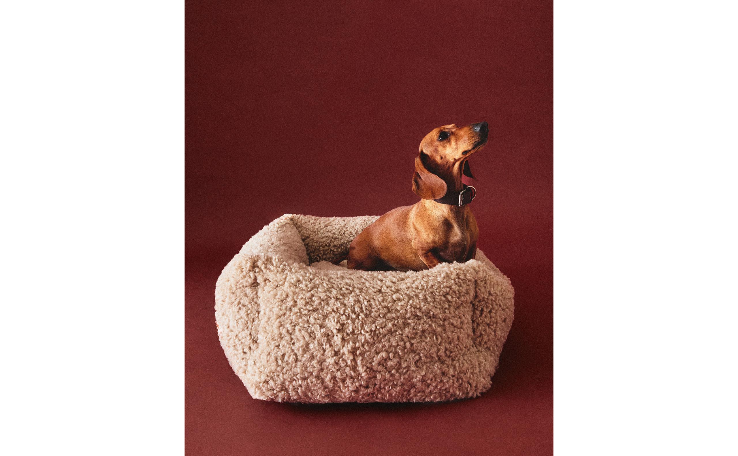 44390009450-f.jpg?ts=1759913534599