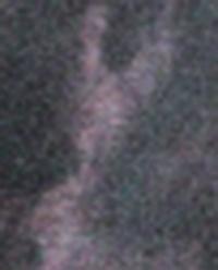 ANIMAL PRINT BEACH SARONG product thumbnail 3