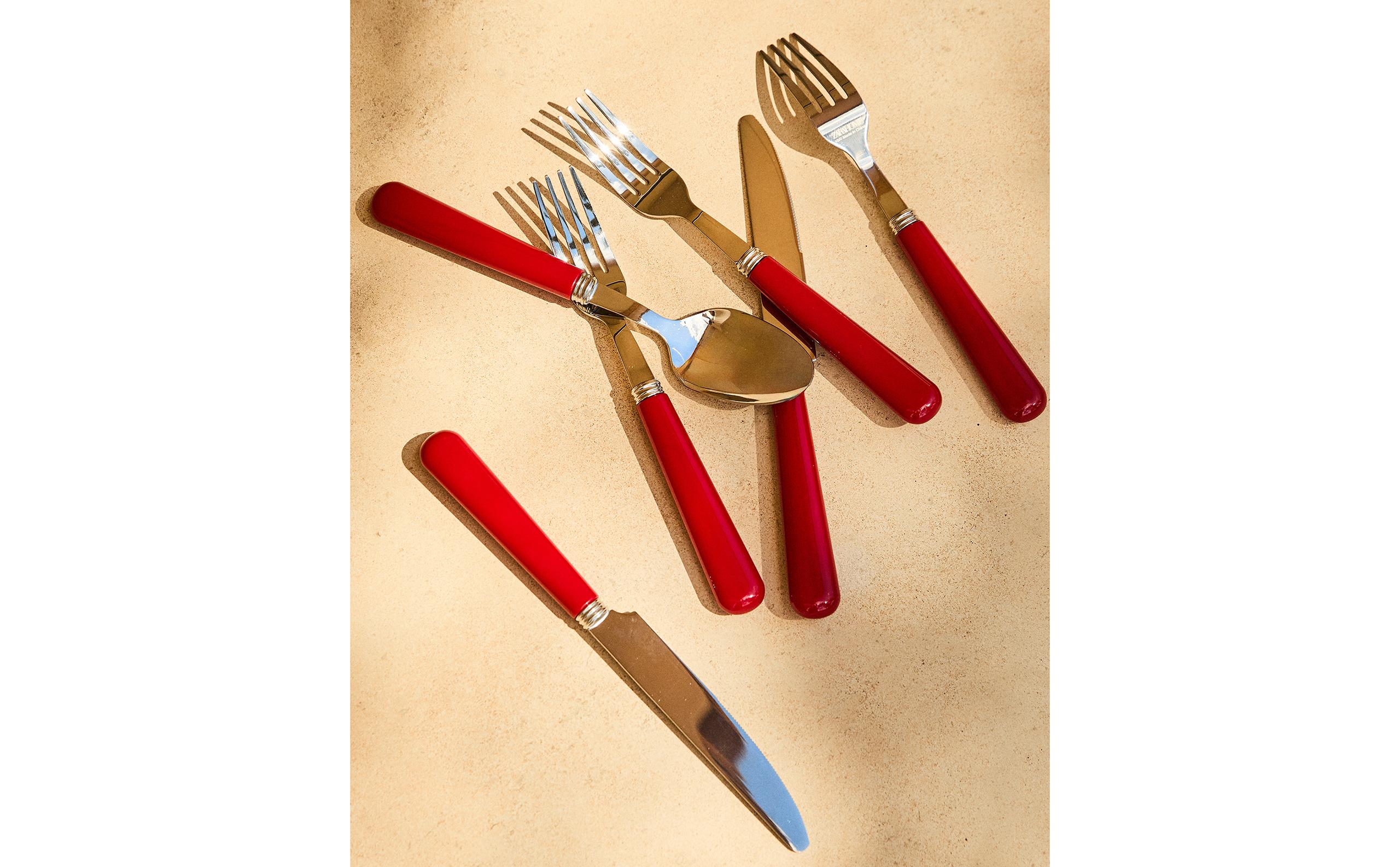 4-PIECE CUTLERY SET WITH COLOURED HANDLE