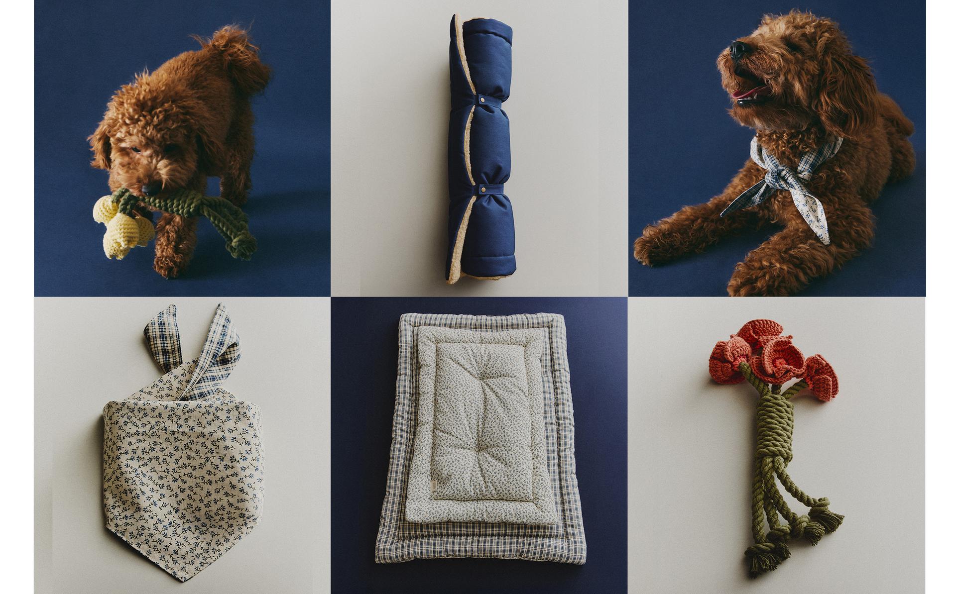 אביזרי חיות מחמד פרחוניים וצעצוע בוקֵה