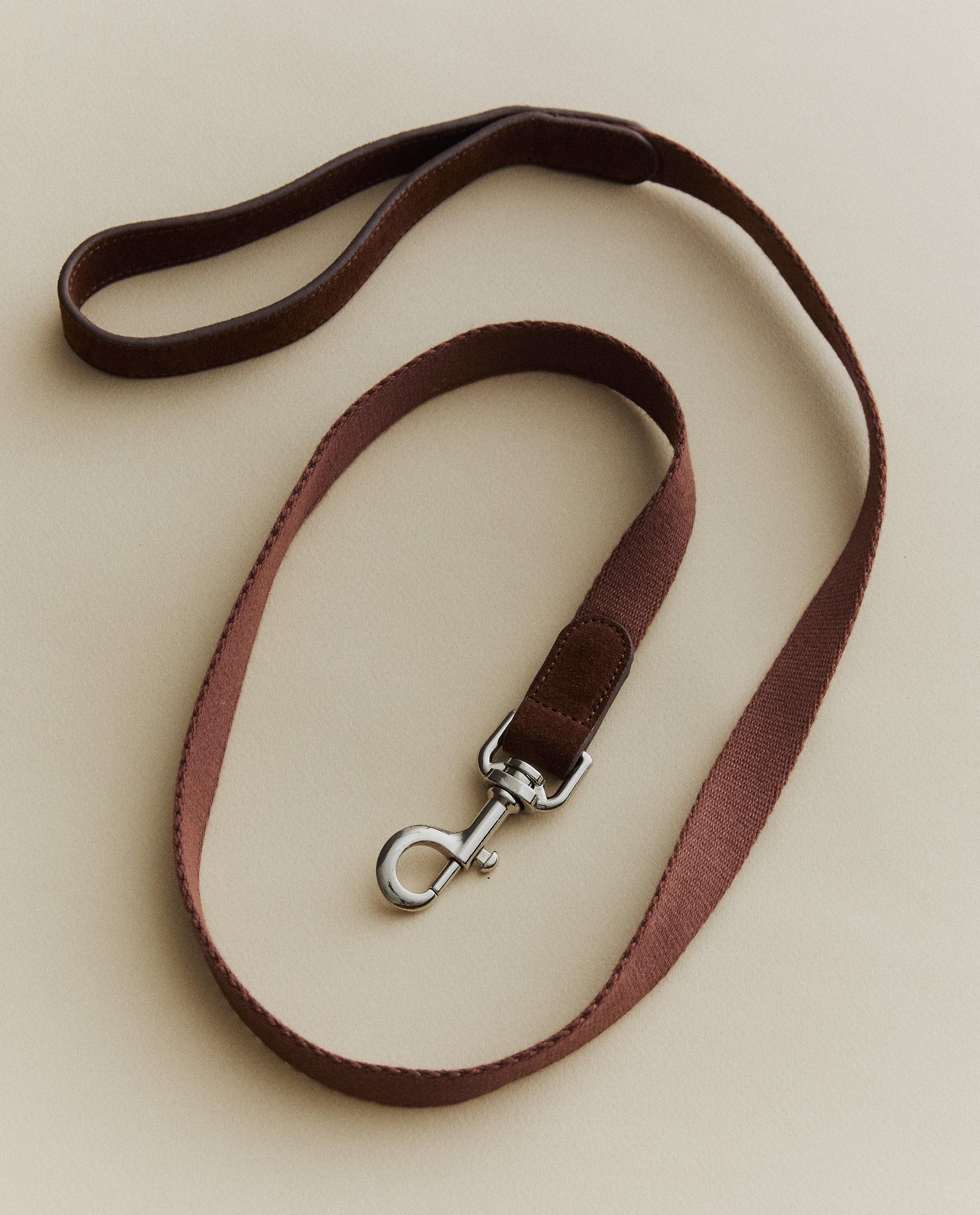 PET LEAD AND COLLAR