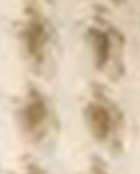 COTTON WAFFLE-TEXTURE BATHROBE product thumbnail 19