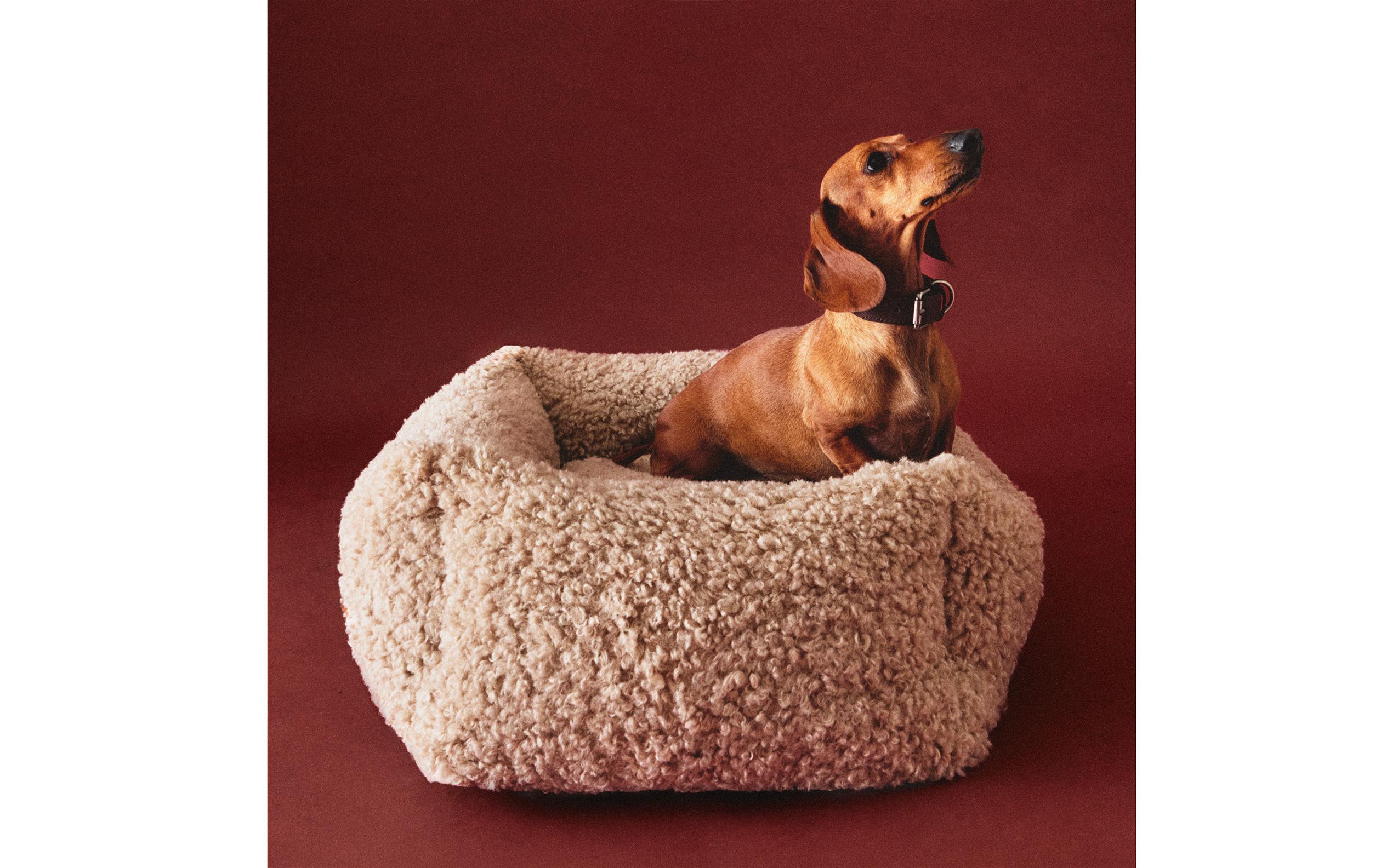 FAUX SHEARLING PET BED | Zara Home United States of America