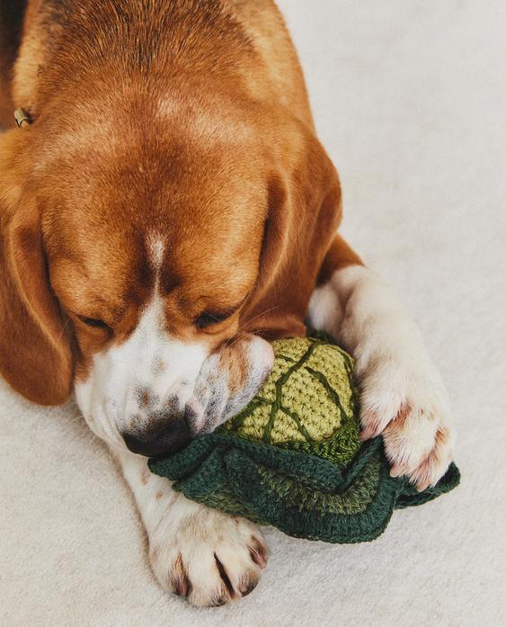 خس لعبة للحيوانات الأليفة