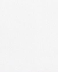 SATEEN FLAT SHEET WITH TRIM (300 THREAD COUNT) product thumbnail 20