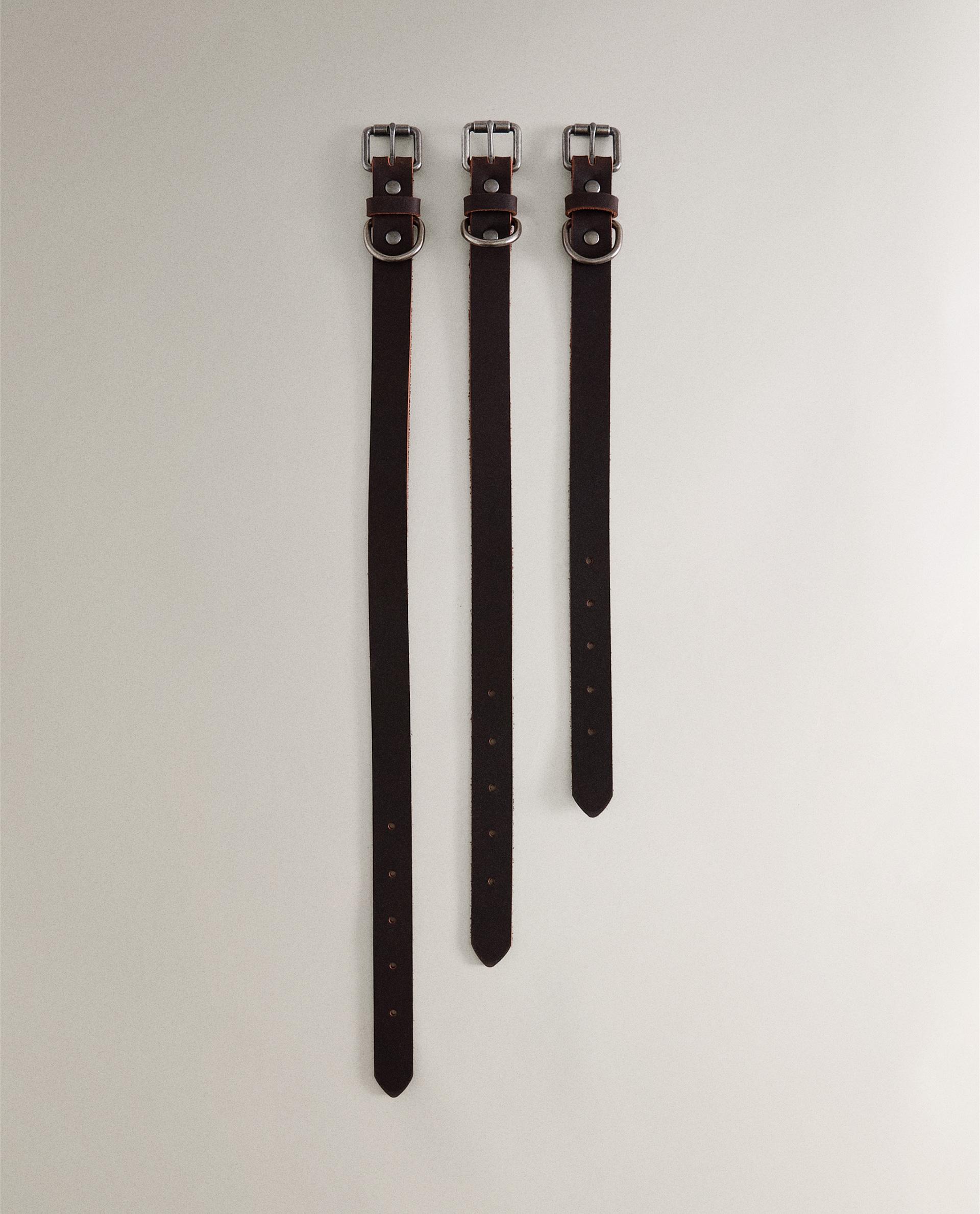 イヌ レザー 首輪 | Zara Home 日本/Japan