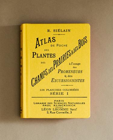 LIBRO ATLAS DE POCHE DES PLANTES CHAMPS, DES PRAIRIES ET DES BOIS SÉR 1.