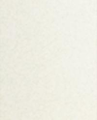 TOILE PORCELAIN TEACUP AND SAUCER product thumbnail 4