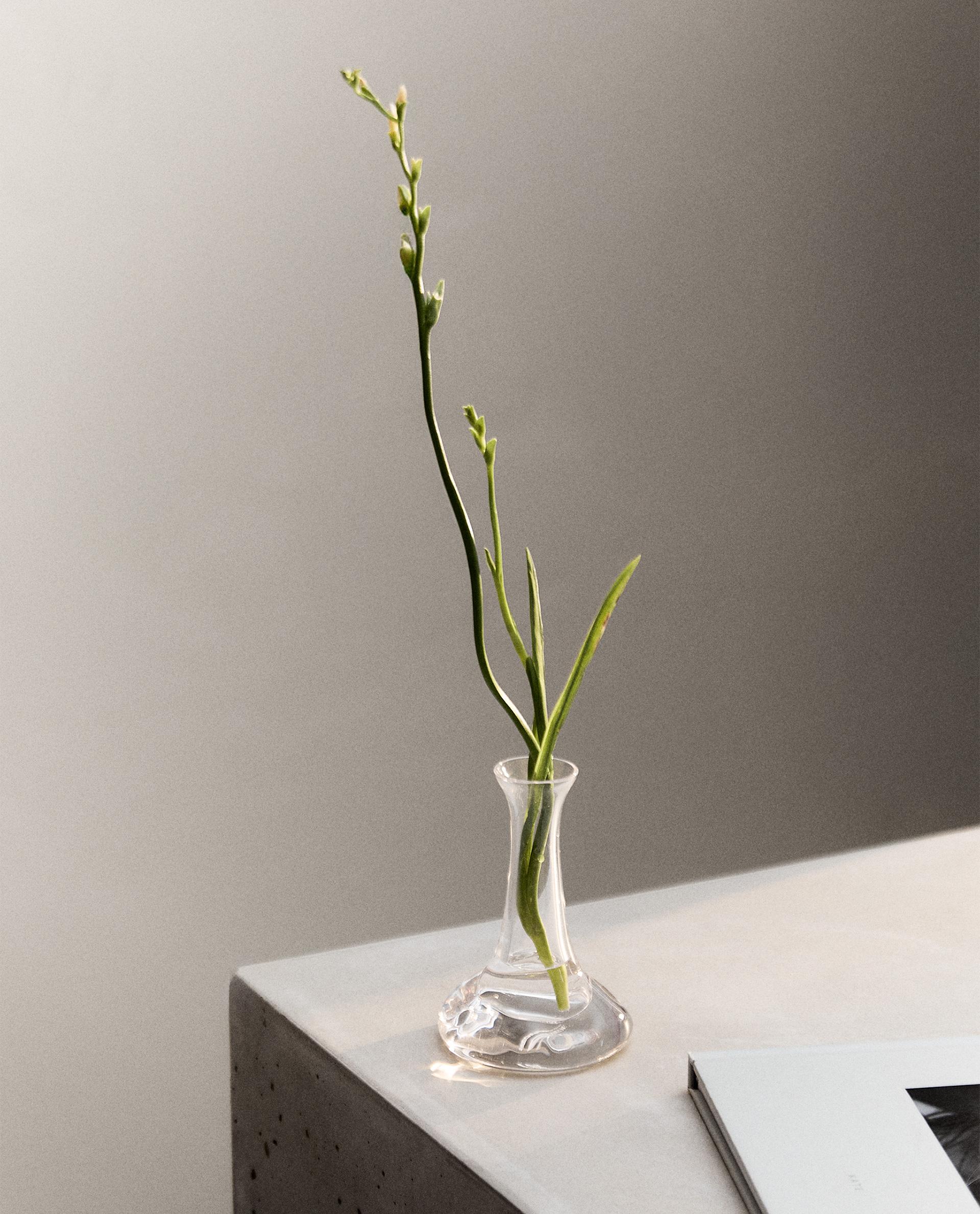 値下げ我谷風盆　約31.5cm×約21cm×約3.5cm LONG NECK GLASS VASE | Zara Home United States of America