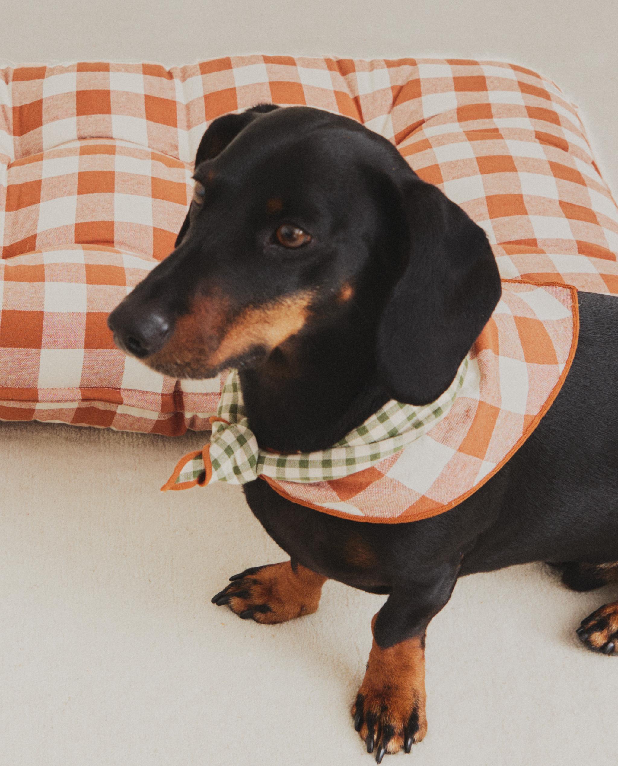 GINGHAM PET TOPPER product thumbnail 11