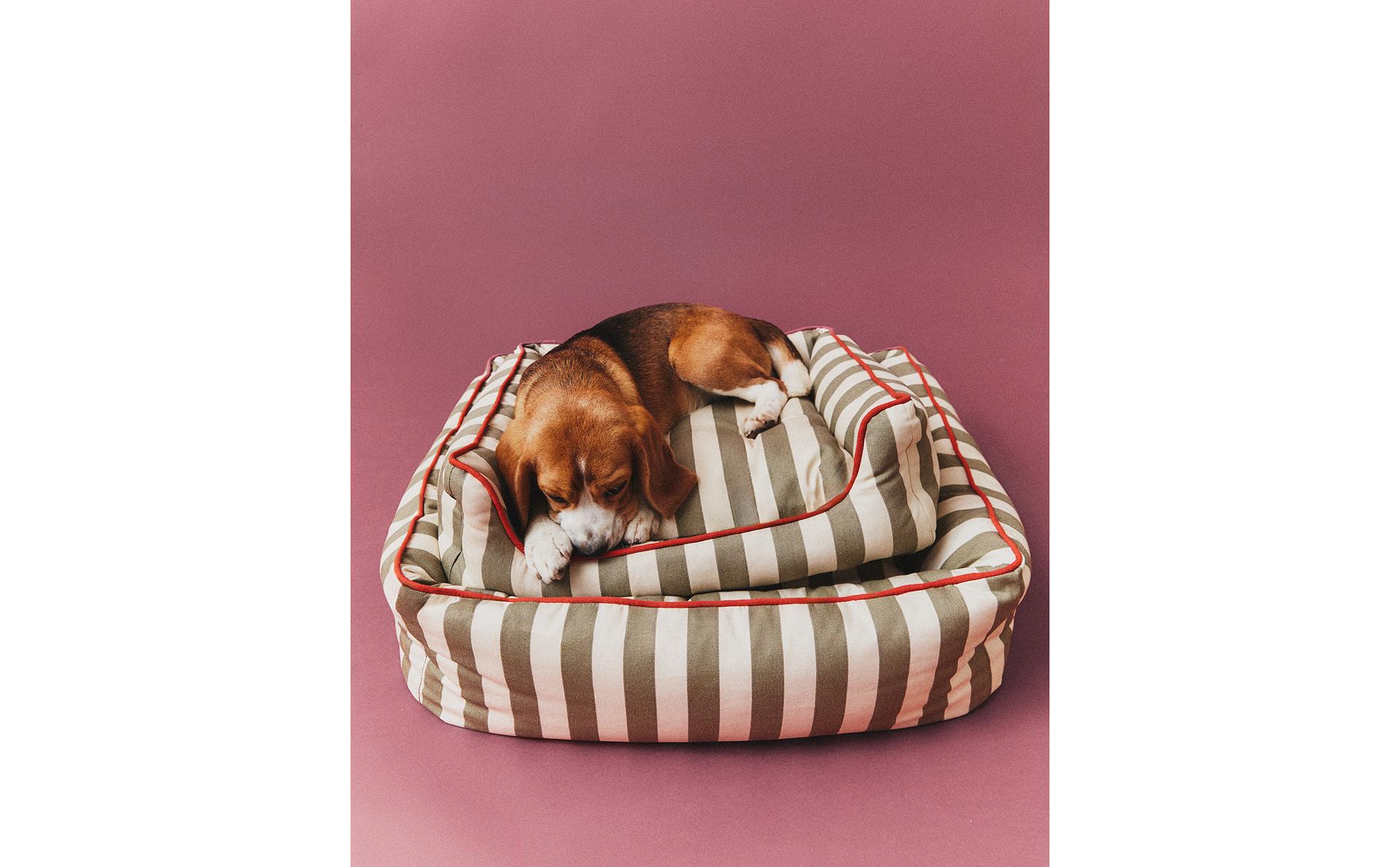 سرير مخطط للحيوانات الأليفة بغرزة أنبوبية سرير مخطط للحيوانات الأليفة بغرزة أنبوبية