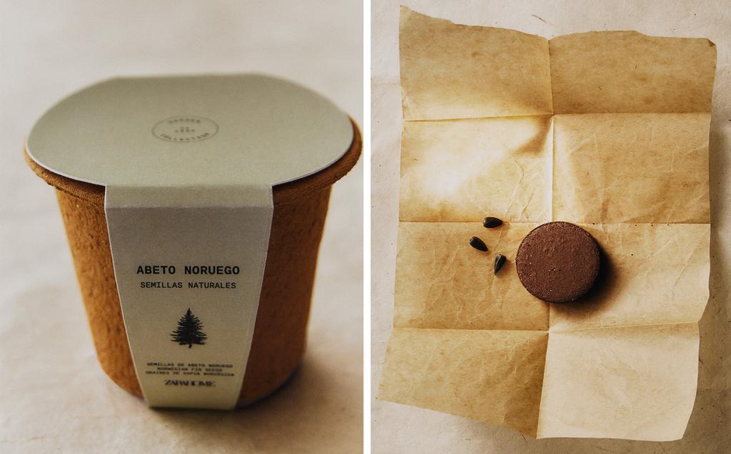 SPRUCE TREE SEED GROWING KIT SPRUCE TREE SEED GROWING KIT