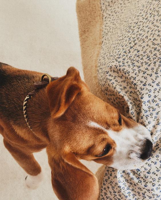 FLORAL PET BLANKET FLORAL PET BLANKET