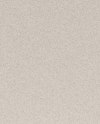RIMMED PORCELAIN SALAD BOWL product thumbnail 5
