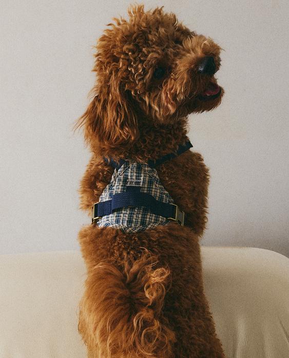 HARNAIS VICHY ANIMAUX HARNAIS VICHY ANIMAUX