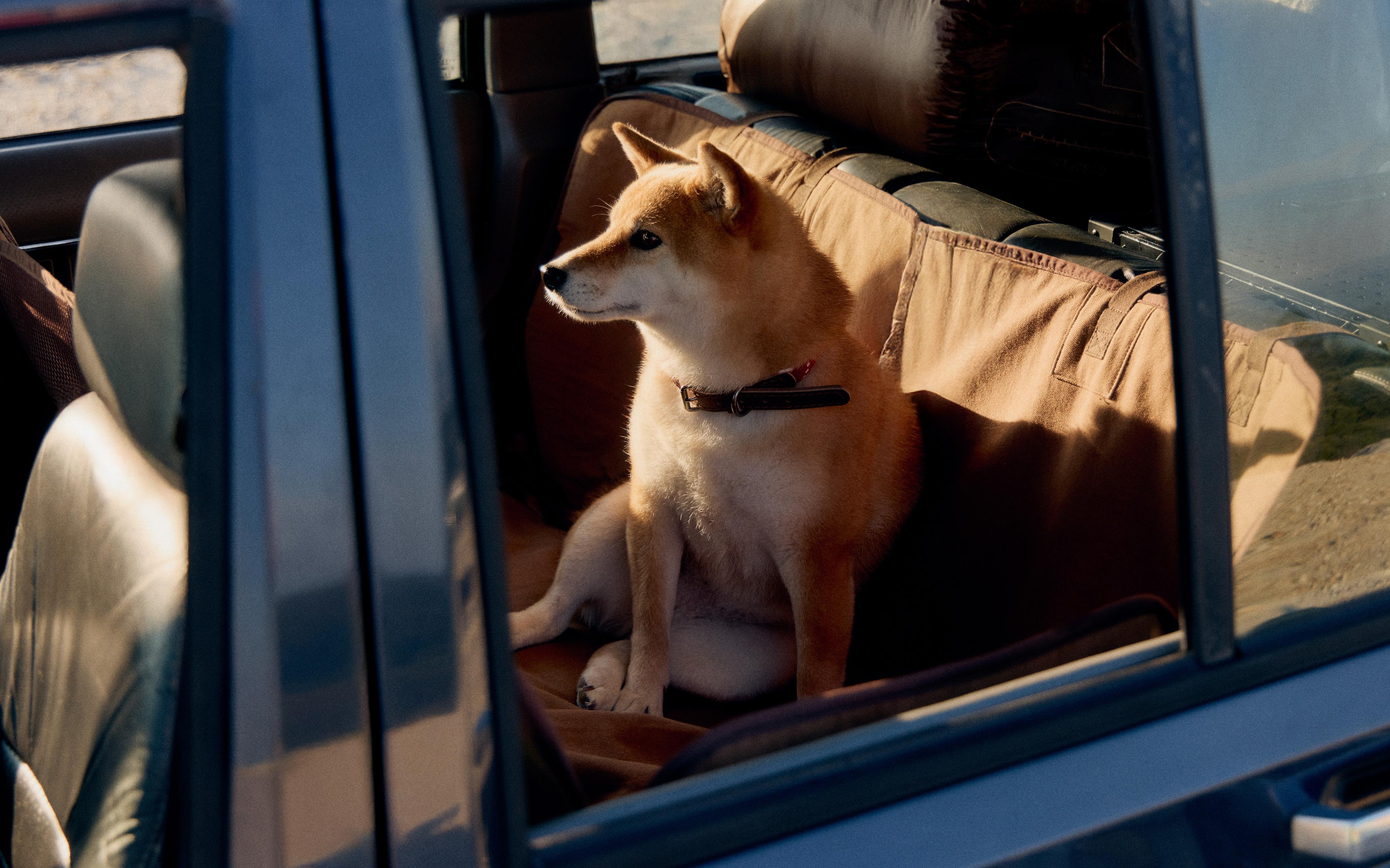 PET CAR THROW product thumbnail 10