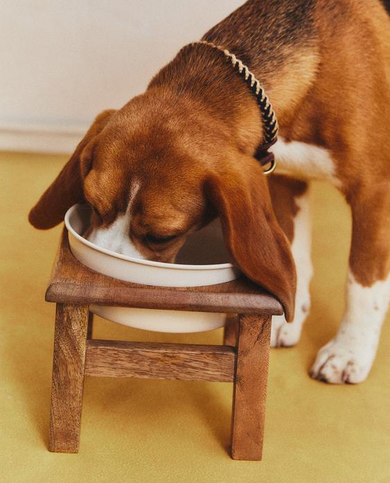 PET FOOD BOWL WITH STAND