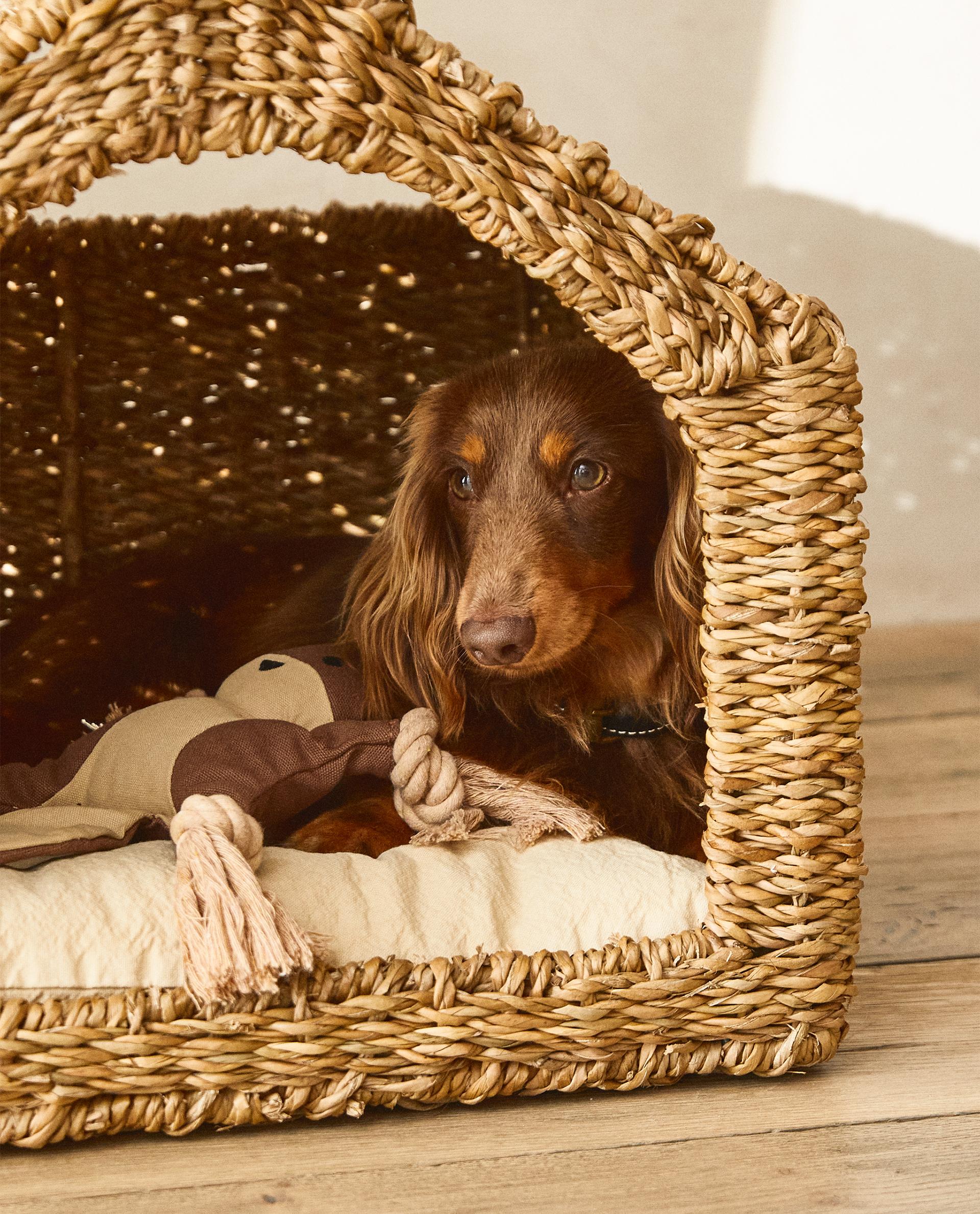 PET HOUSE | Zara Home Canada