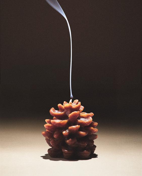 VELA AROMÁTICA PINHA PUMPKIN SPICE VELA AROMÁTICA PINHA PUMPKIN SPICE