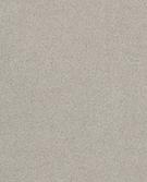 GRIGIO MEDIO