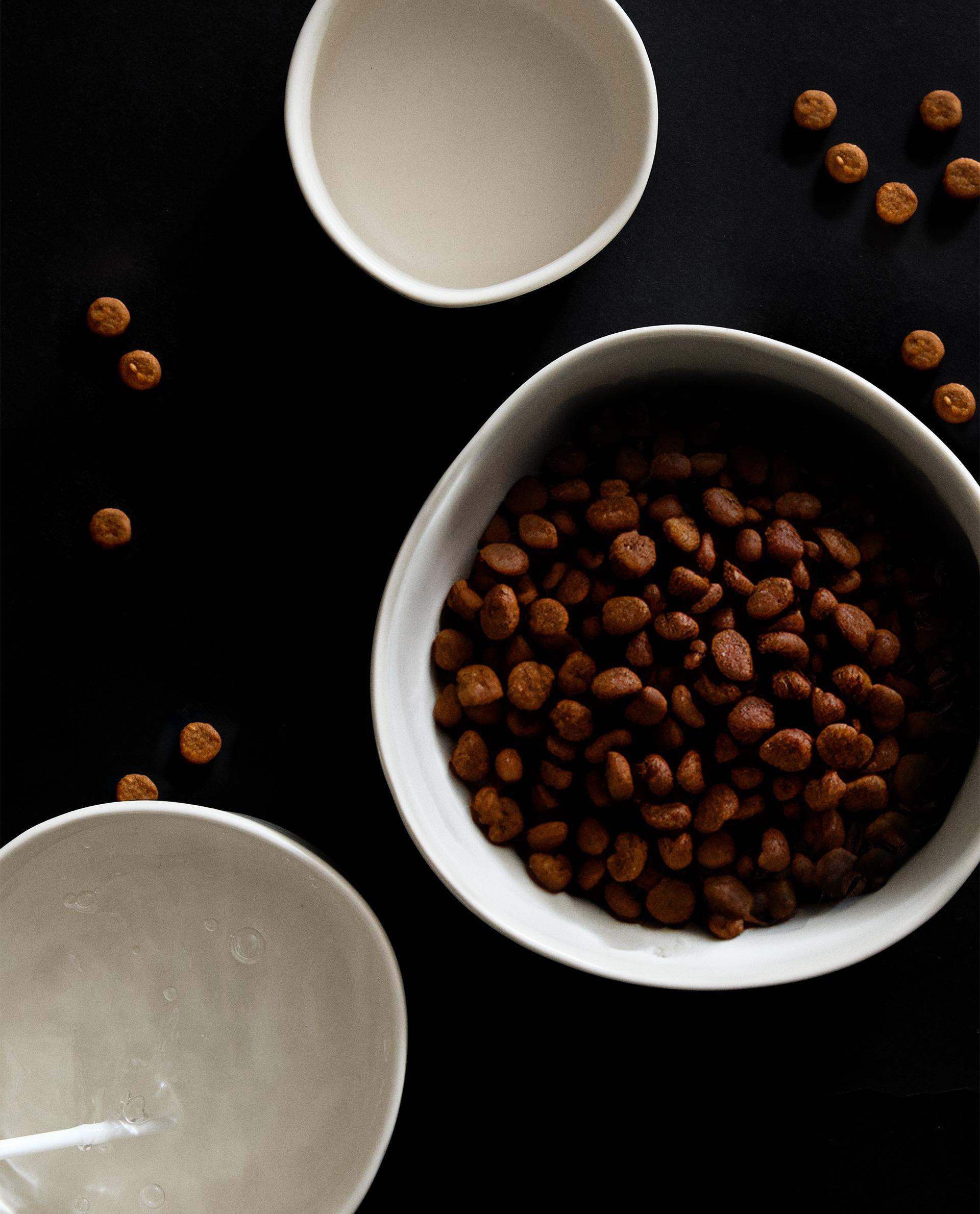 STONEWARE PET FOOD BOWL product thumbnail 14