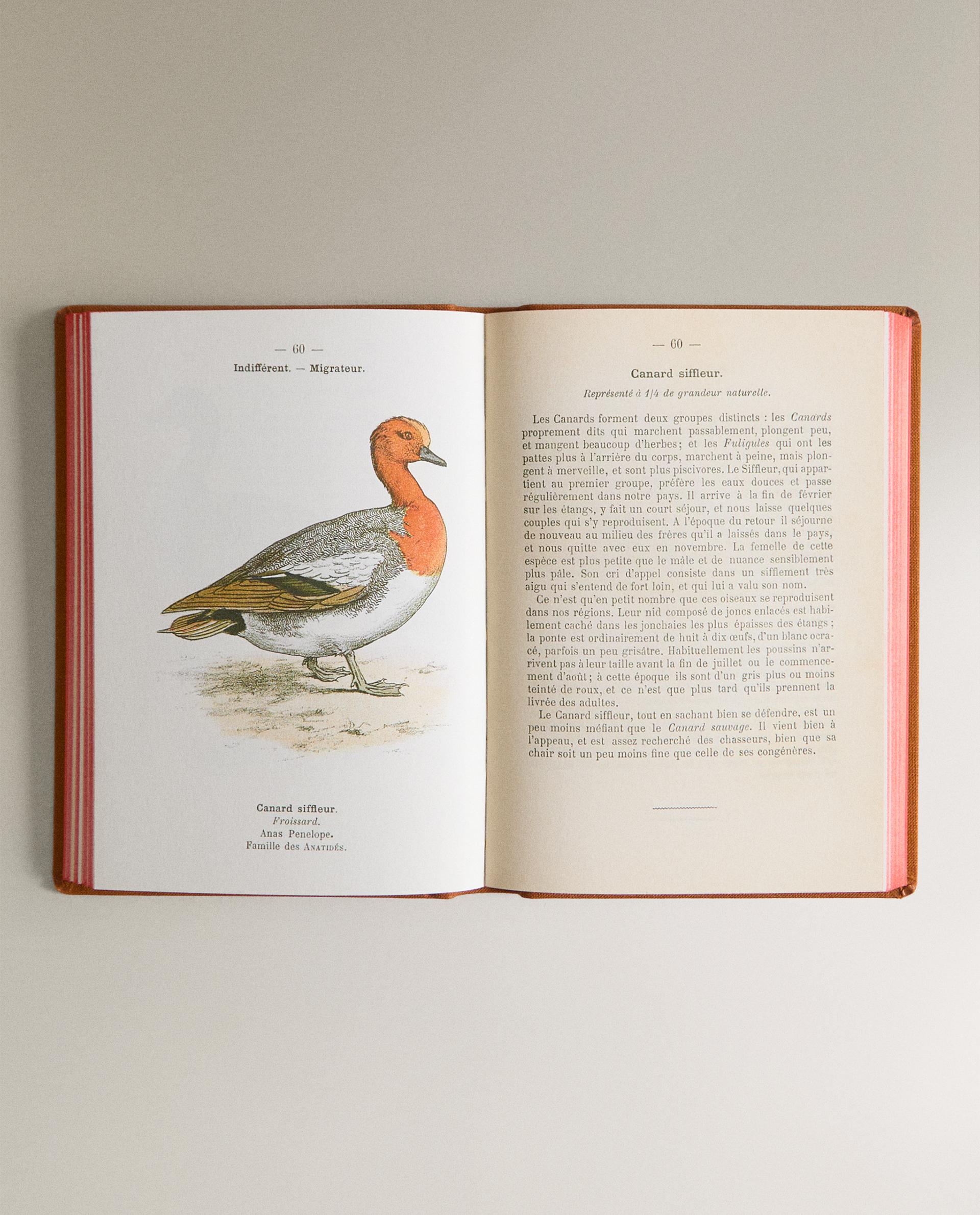 ATLAS DE POCHE DES OISEAUX DE FRANCE SÉR. 2 BOOK