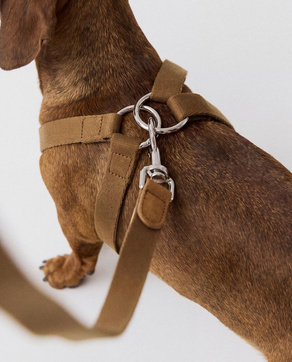LEATHER PET HARNESS