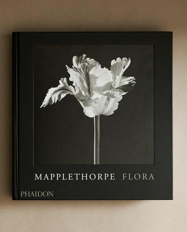 ROBERT MAPPLETHORPE BOOK