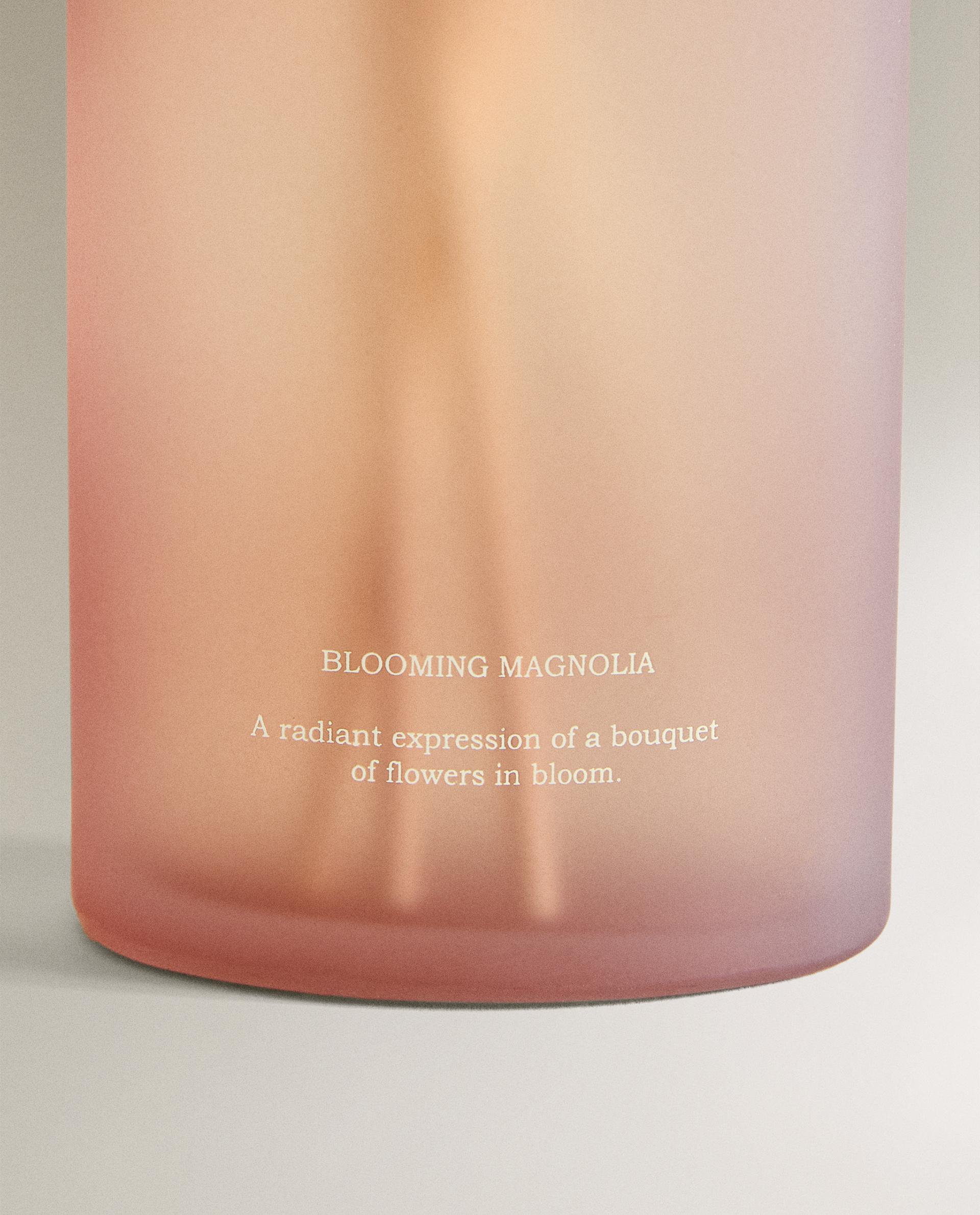 (200 ML) BLOOMING MAGNOLIA REED DIFFUSERS