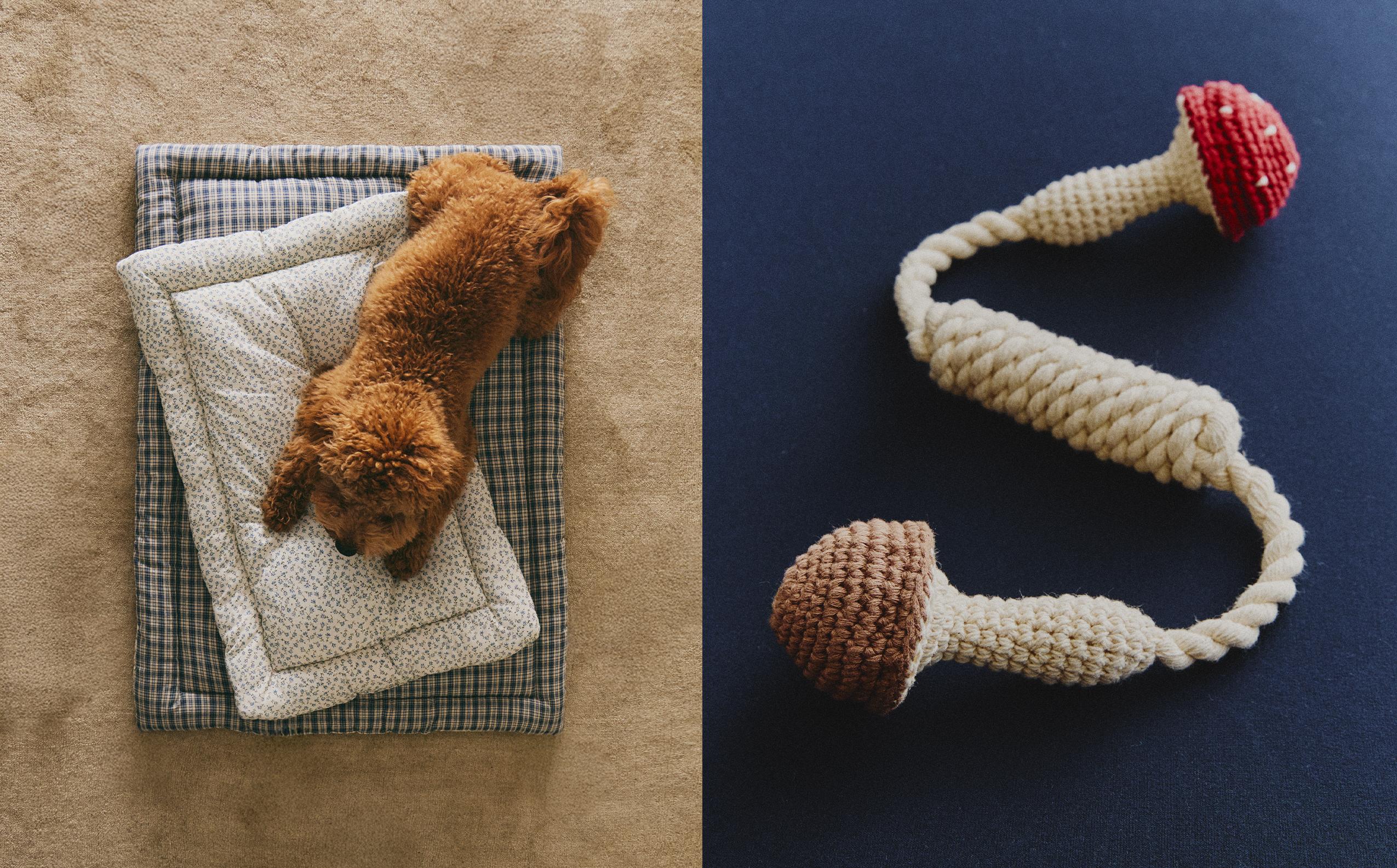 新着情報 | Zara Home 日本/Japan