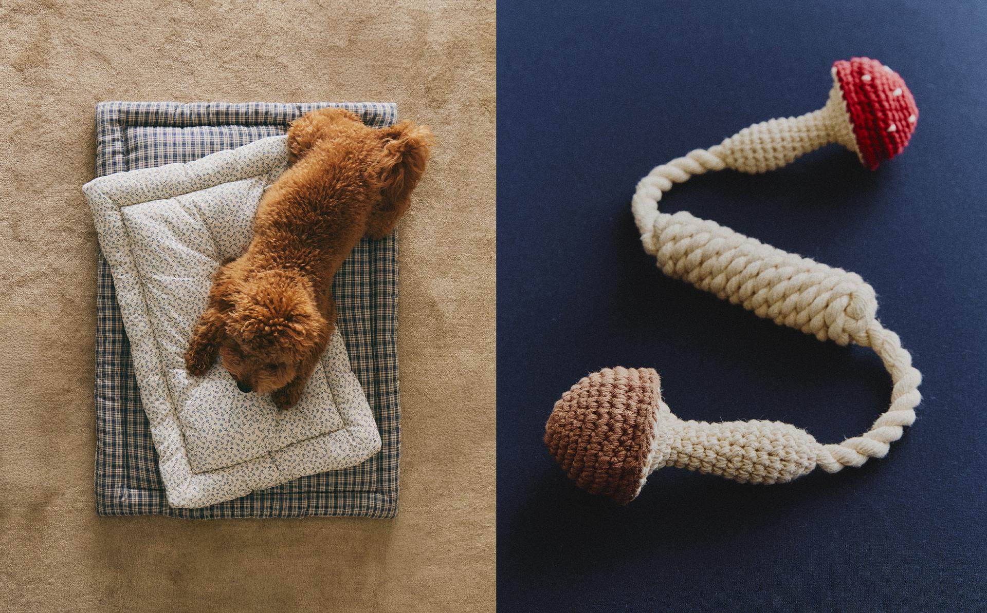 TOPPER CUADROS Y FLORES Y JUGUETE SETAS MASCOTAS TOPPER CUADROS Y FLORES Y JUGUETE SETAS MASCOTAS