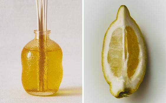 (180 ML) PROFUMI PER AMBIENTE CON BASTONCINI GINGER LEMON