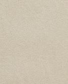 КАМЕННОСИВО