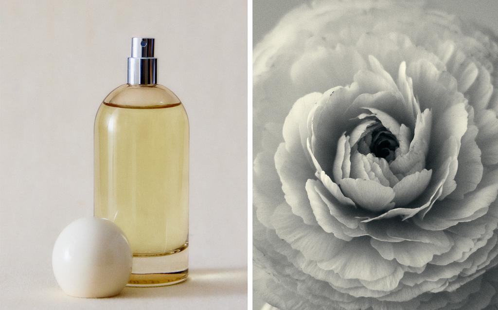 (100 ml) clean blossom air freshener spray