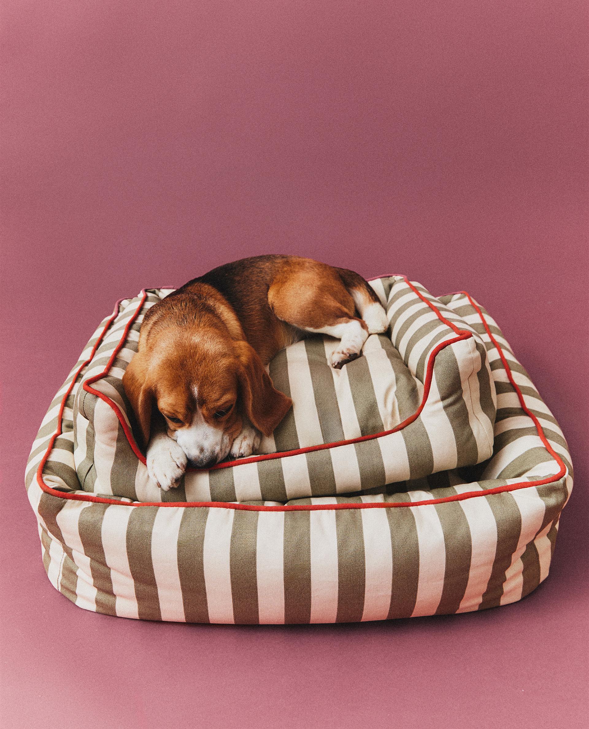 STRIPED PET BED WITH PIPING product thumbnail 11