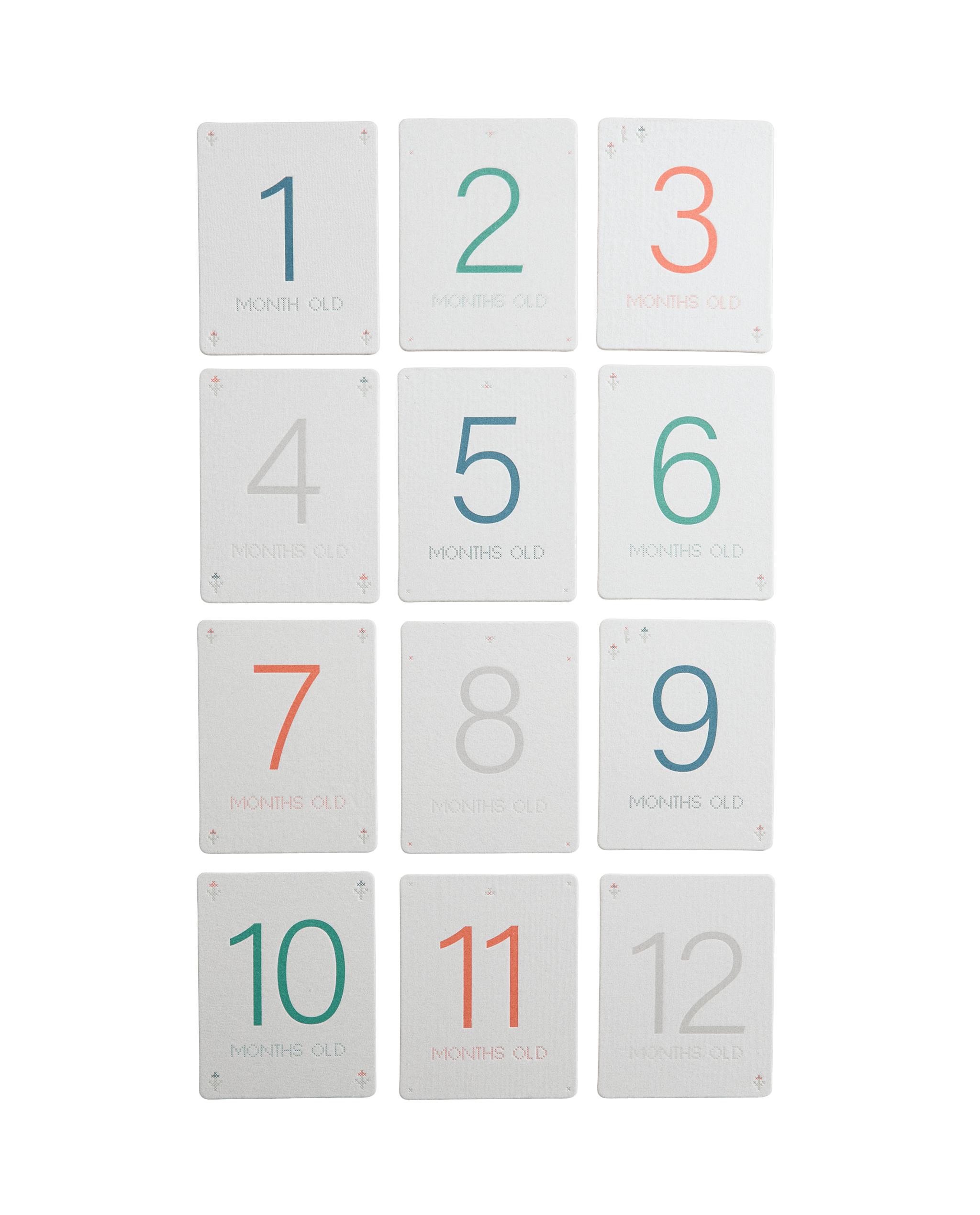 BABY MONTHLY MILESTONE KIT - 12 FLORAL CARDS product thumbnail 3