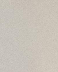 RIMMED BONE CHINA SIDE PLATE product thumbnail 11