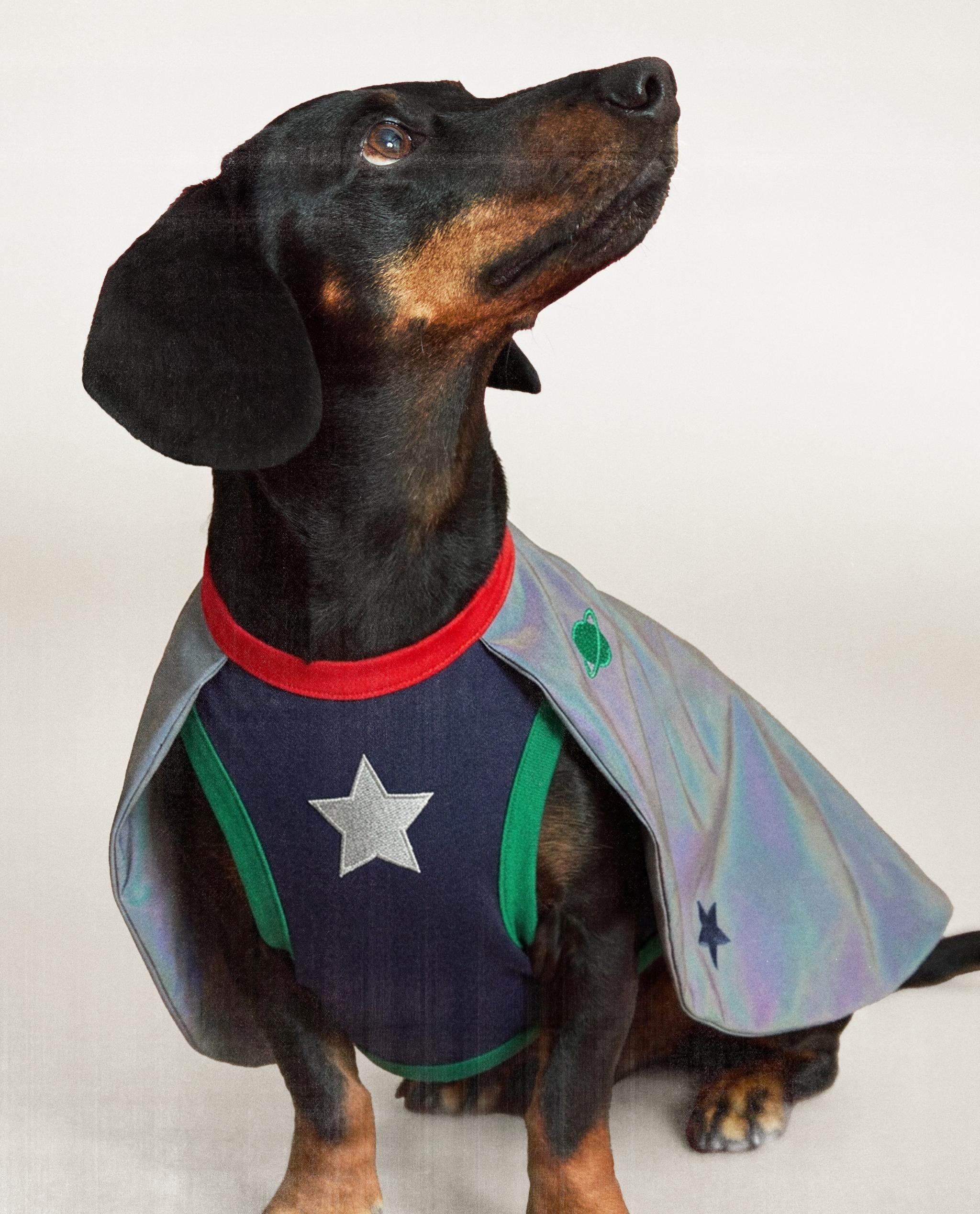 REFLECTIVE SPACE INSPIRED PET COSTUME product thumbnail 8
