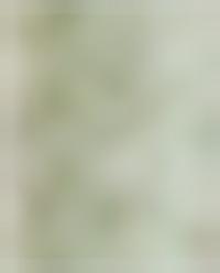EMBROIDERED SCALLOPED BATH MAT product thumbnail 11
