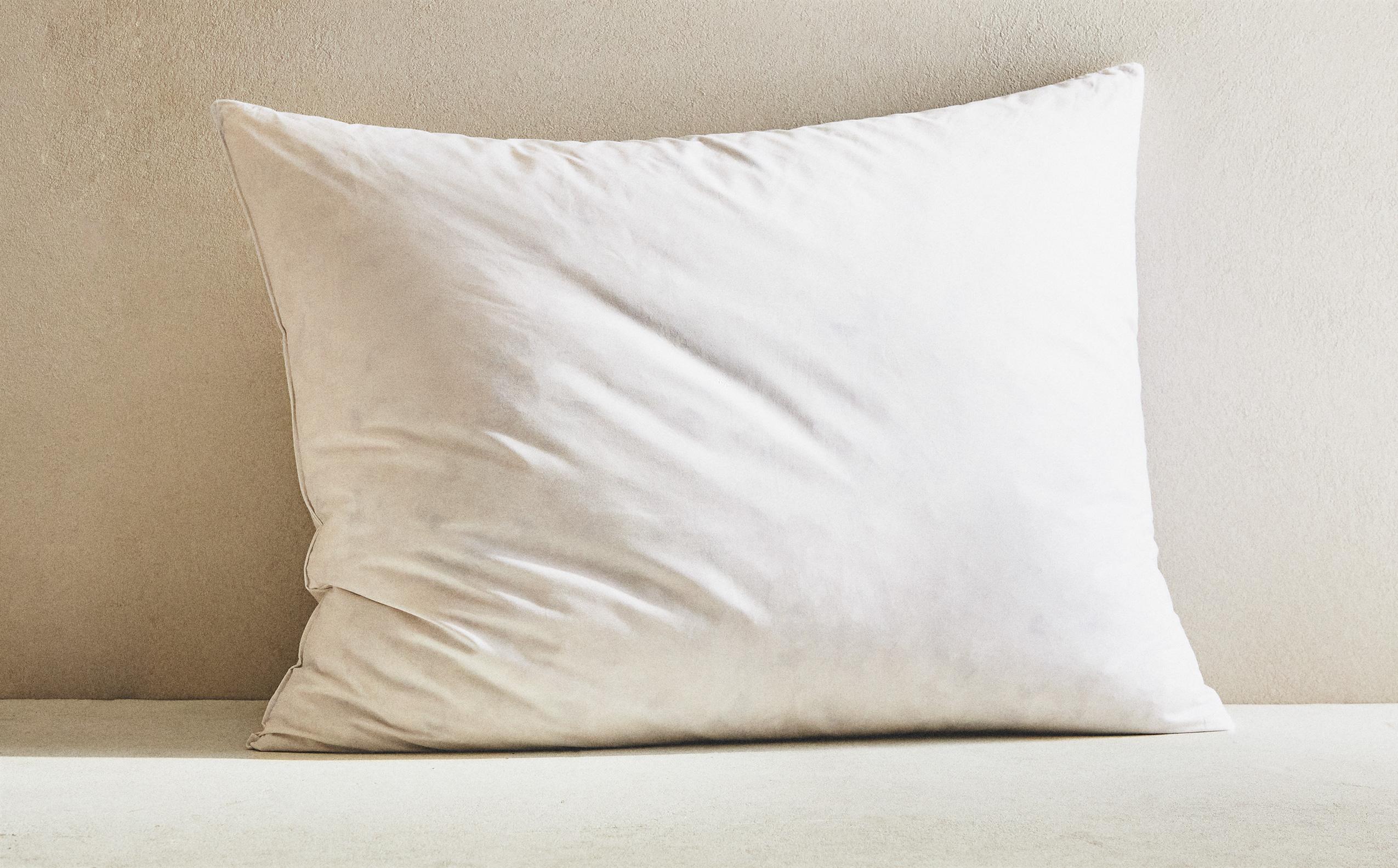 ALMOHADA DECORATIVA PLUMA-5/95